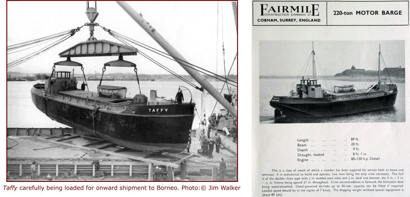 Taffy carefully being loaded for onward shipment to Borneo. Photo:© Jim Walker